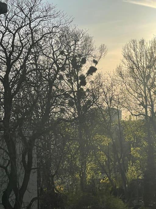 Stilvolles Augarten Refugium Bécs Kültér fotó